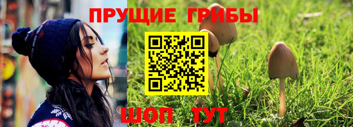 Псилоцибиновые грибы ЛСД  Вход с VPN  Белгород  Псилоцибиновые грибы Cubensis 